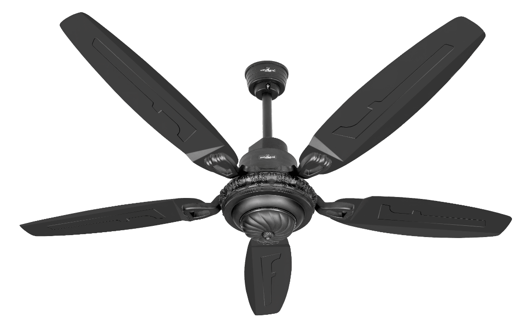 Ceiling Fans
